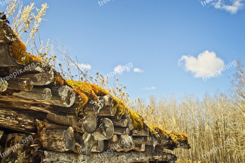 Sod Roof Nature Tree Sky Spring