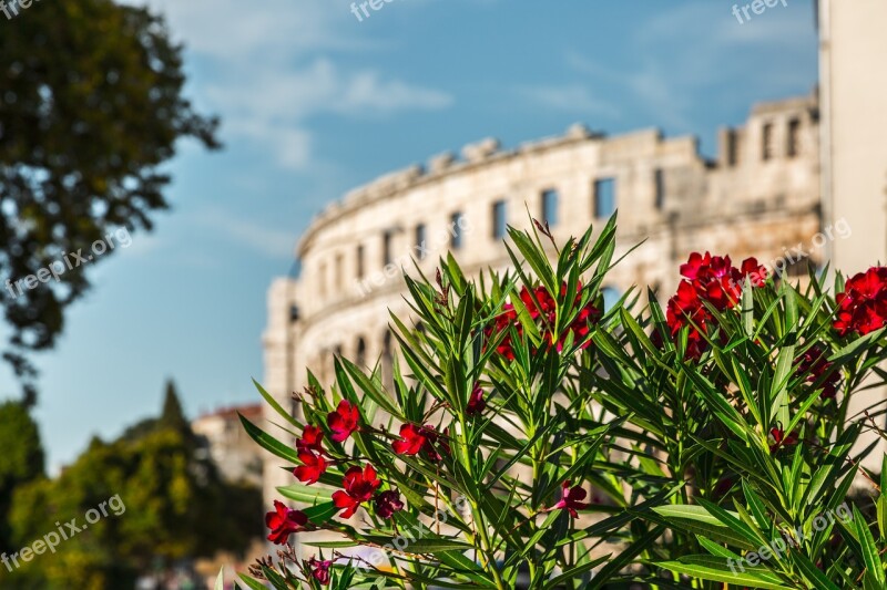 Pula Croatia Colosseum Architecture Building