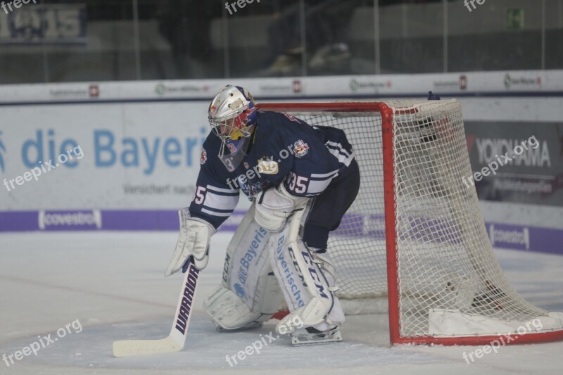 Sport Competition Ice Hockey Ice Free Photos