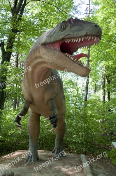 Nature Wood Dinosaur Reptile Outdoors