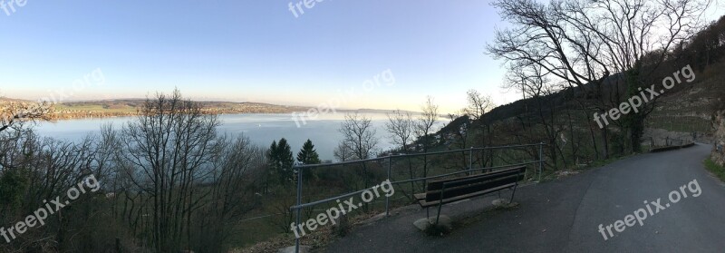 Panorama Nature Winter Tree Landscape