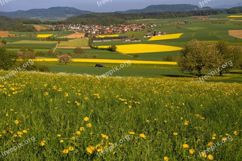 Fields Reported Oilseed Rape Field Of Rapeseeds Yellow