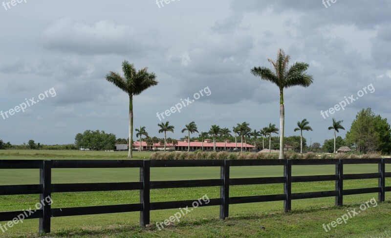 Tree Fence Landscape Nature Travel