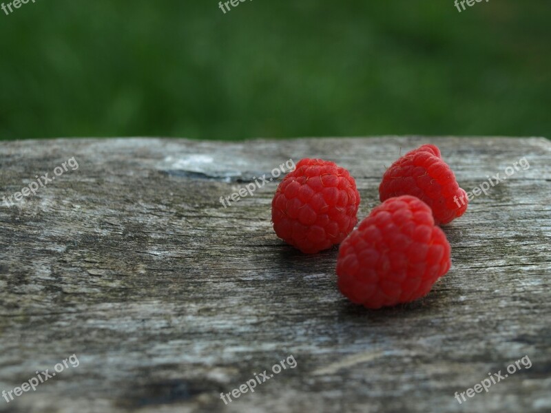 Raspberry Macro Free Photos