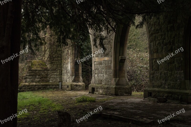 Tree Old Mystery Ancient Outdoors