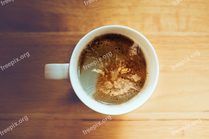 Cat Coffee Coffee Mug Beverage Cups Of Coffee