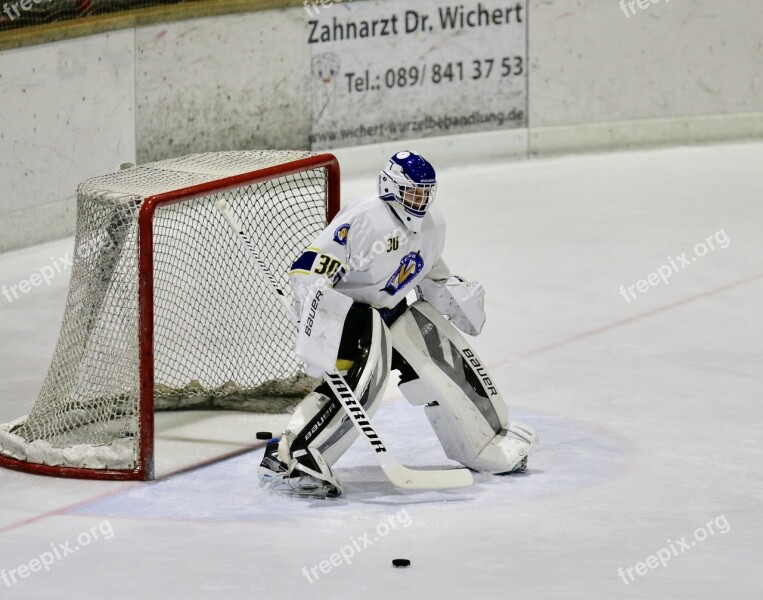 Ice Hockey Ice Sport Competition Free Photos