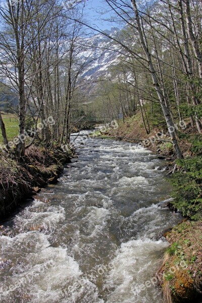 Nature Wood Waters Landscape River