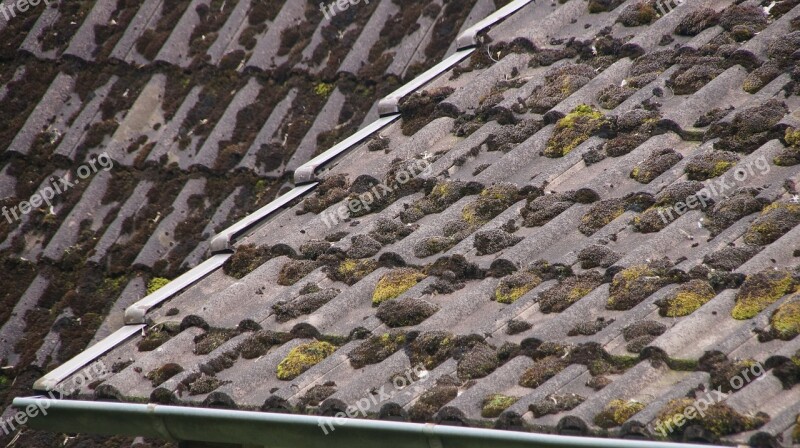 Roof Roof Renovation Old Weathered Damaged