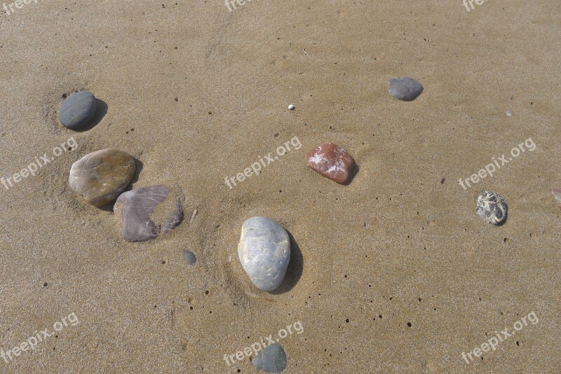 Beach Sand The Coast Pebbles Seashell