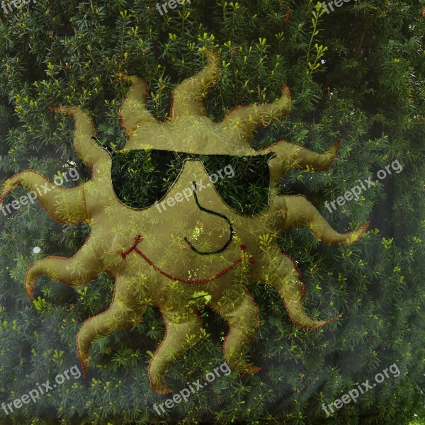 Sun Boxwood Double Exposure Hand Labor Pillow