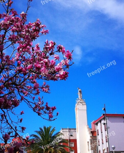 Sky Magnolia Statue Blue Bermeo