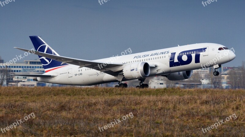 The Plane Aircraft Jet Transport Dreamliner