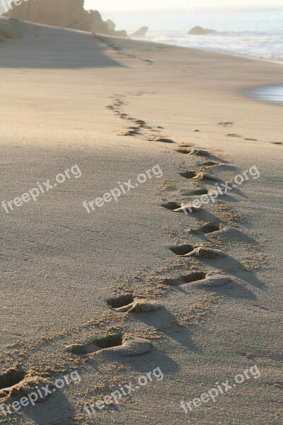 Sand Beach Seashore Water Shore