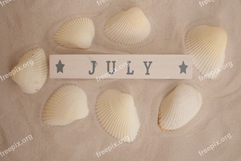 July Sand Seashells Summer Vacation