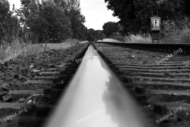 Road Nature Train Black And White Black And White Photography