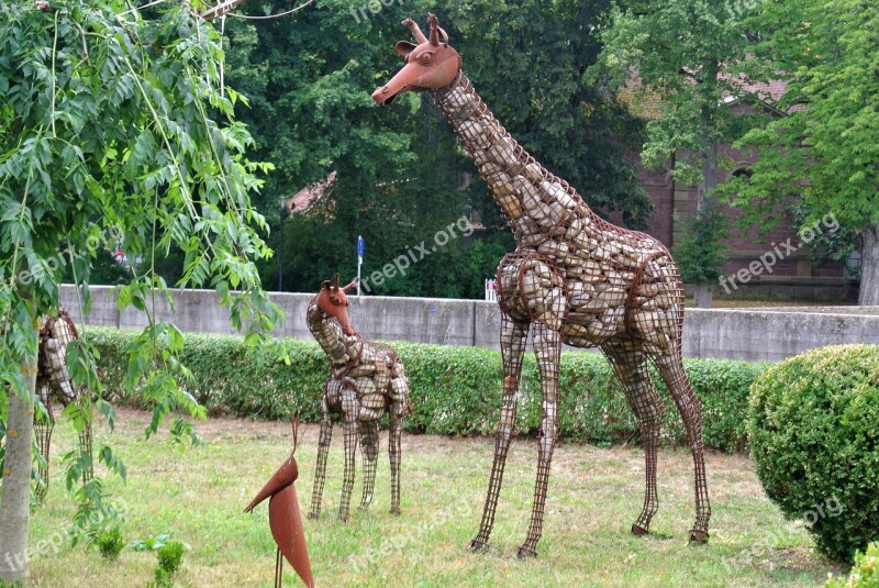 Nature Summer Tree Grass Garden