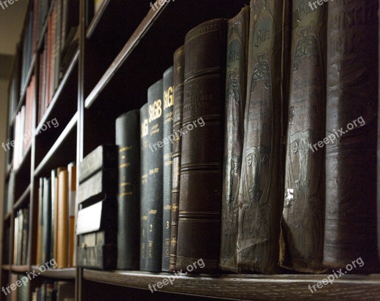 Library Shelf University Warehouse Bookshelf