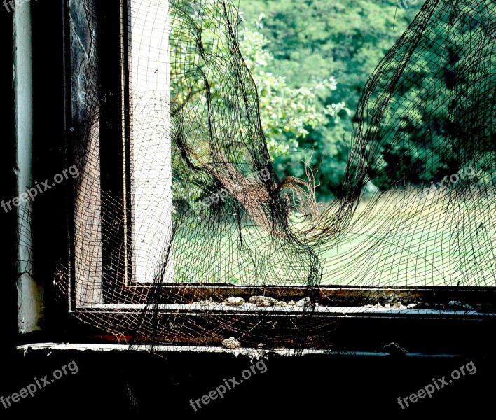 Window Network Basket Case Free Photos