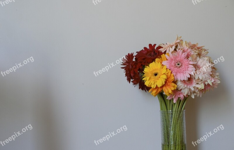 Nature Flower Plant Summer Bouquet De Fleurs