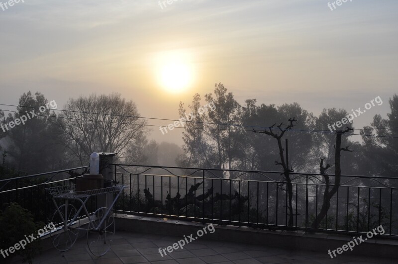 Fog Horizontal Plane Dawn Tree Sunset