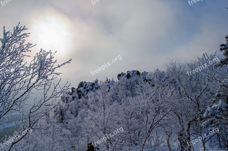 Winter Snow Coldly Leann Tree