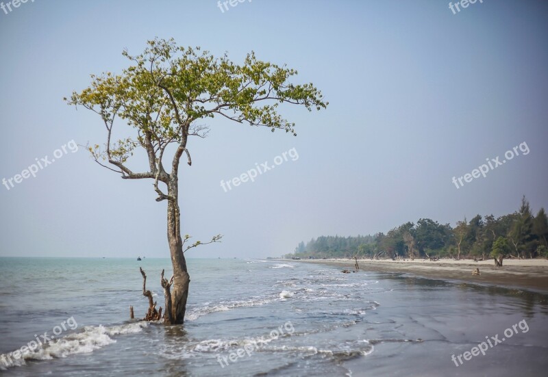 Water Nature Tree Landscape Summer