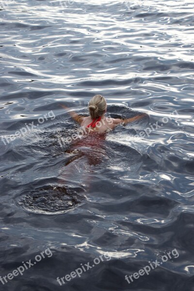 Water Wet Swimming Lake Splash