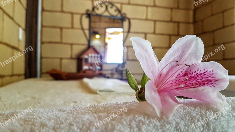 Relaxation Flower Luxury Towel Orchid