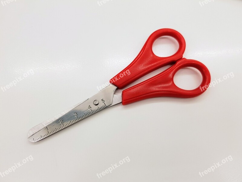 Tool Scissors Steel Equipment Stainless Steel