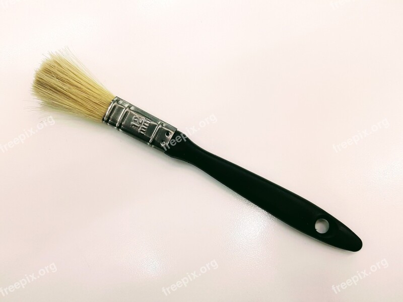 Isolated Brush Wood Equipment Bristle