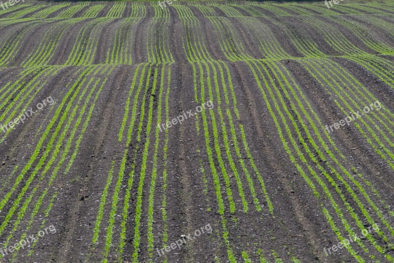 Agriculture Nature Field Rural Background