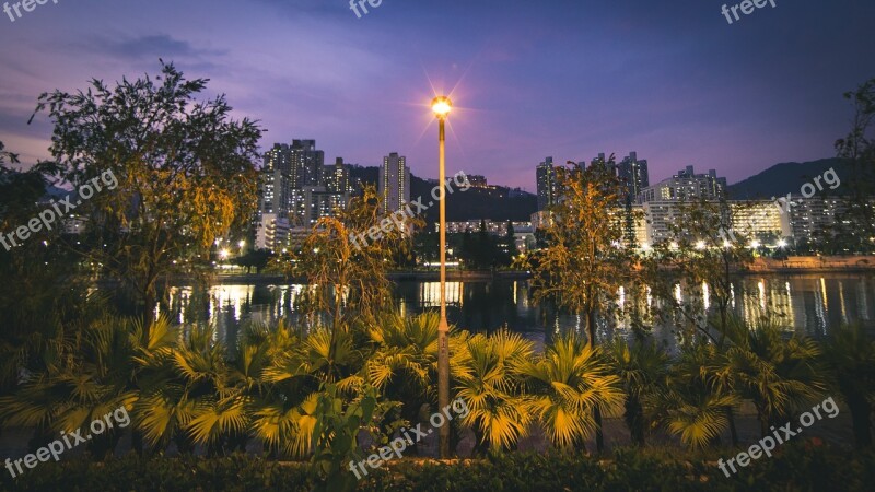 A Bird's Eye View Tree Sky Nature Tourism