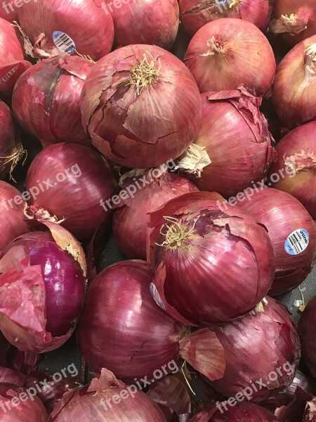 Garlic Food Bulb Vegetable Pungent