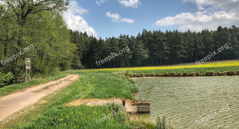 Nature Tree Grass Landscape Panoramic Views