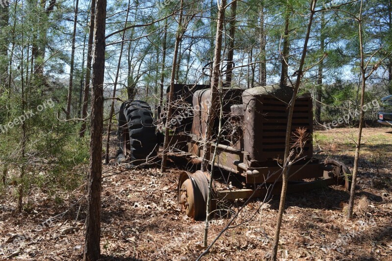 Wood Tree Nature Tractor Americana