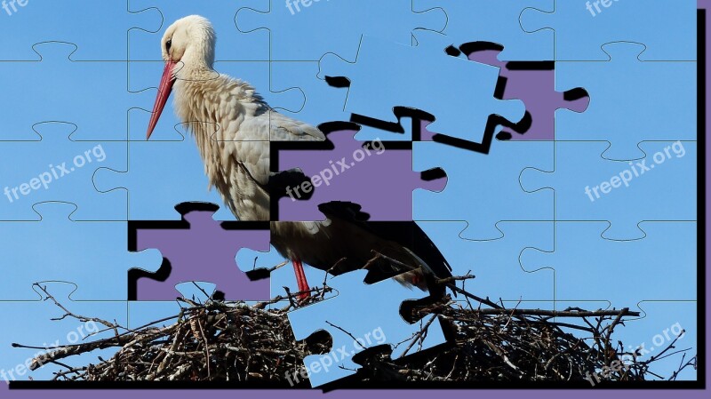 Stork Puzzle Bird Nature Sky