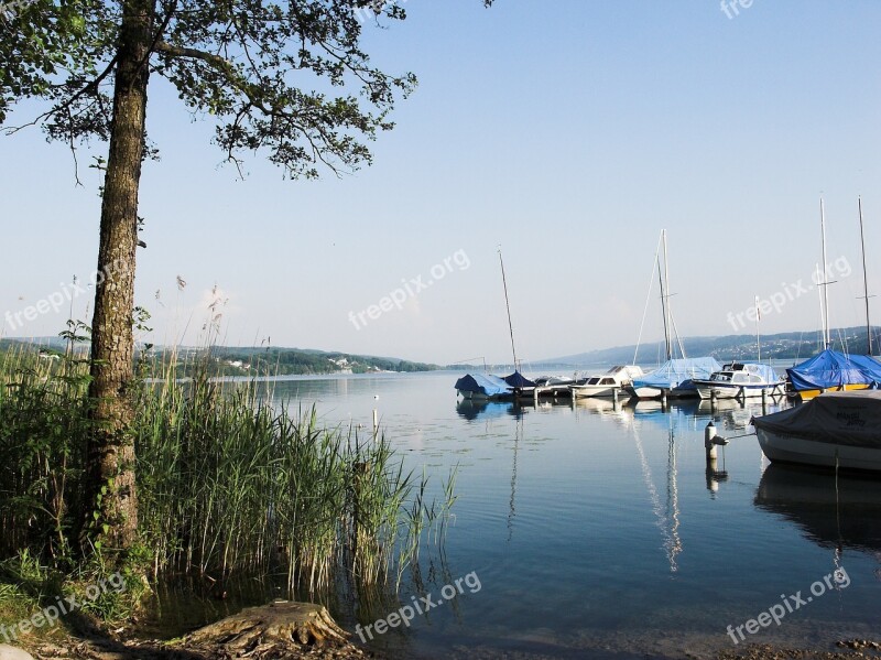 Seengen Halwiler Lake Waters Nature Travel