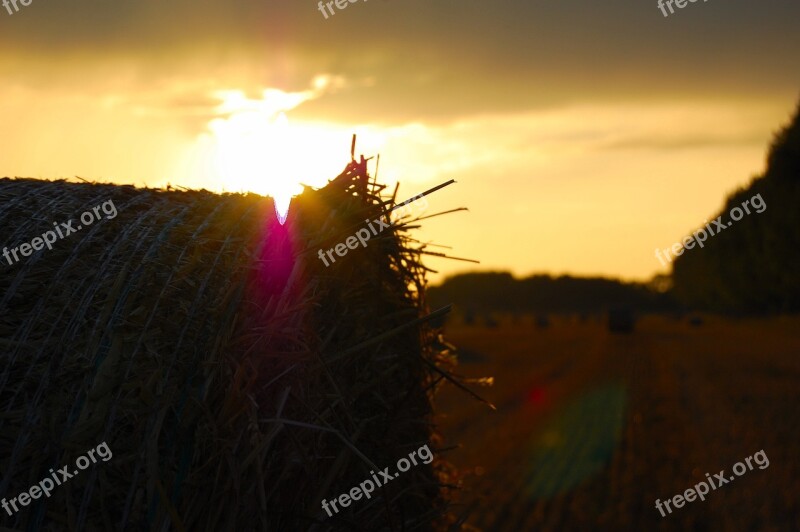 Sunset Dawn Dusk Sun Evening