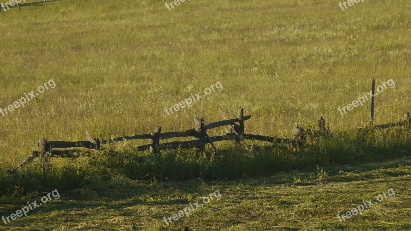 Grass Nature Field Agrofirm Horizontal