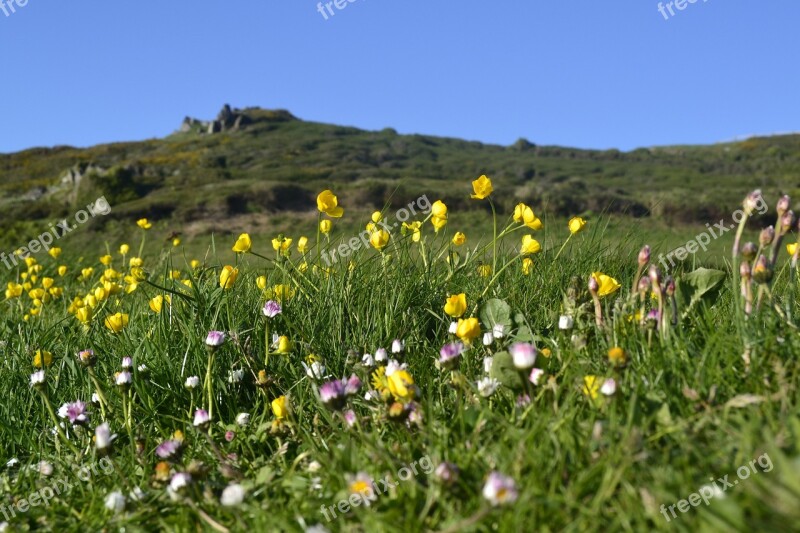 Nature Hayfield Field Lawn Free Photos