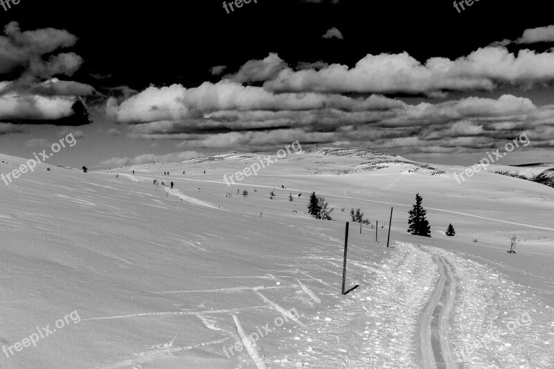 Snow Winter The Nature Of The Monochrome Landscape