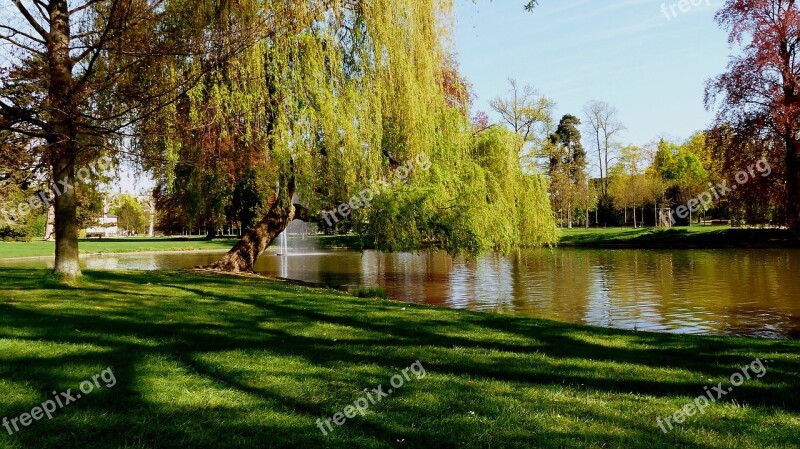 Tree Park Nature Lawn Lake