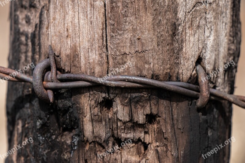 Wood Rusty Old Lock Security