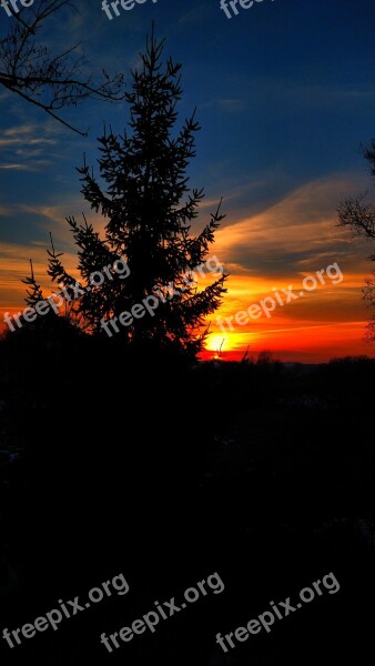 Tree Sunset The Dawn Family Nature The Silhouette