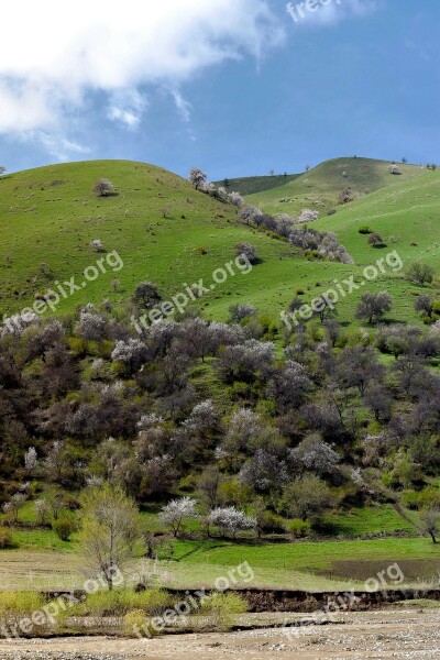 Nature Landscape Lawn Hill Sky