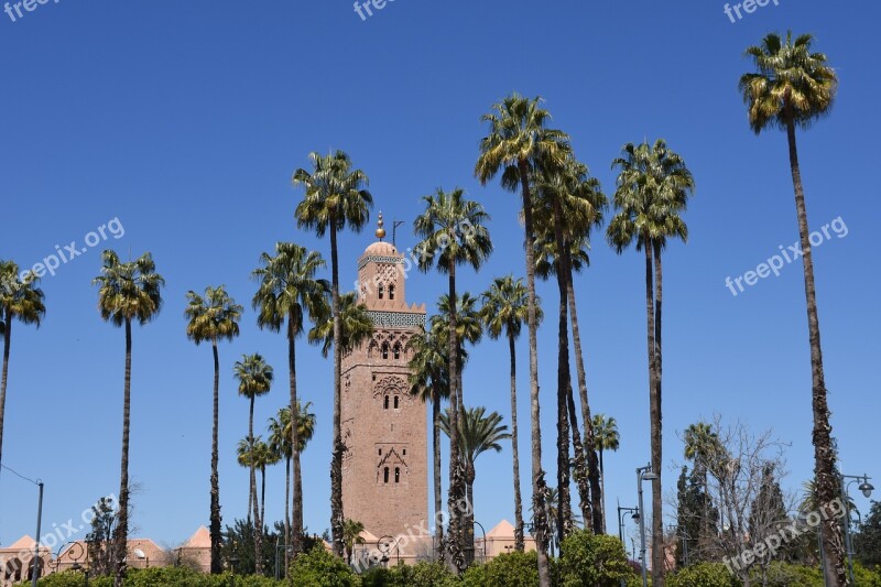 Minaret Palm Trees Travel Architecture Blue Sky