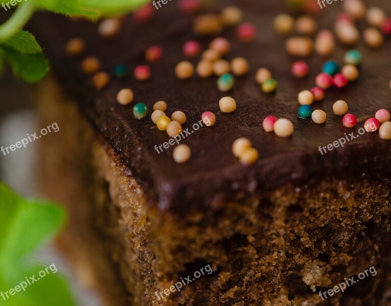 Dessert Chocolate Tart Suede Pieces Chocolate Cake Brownie