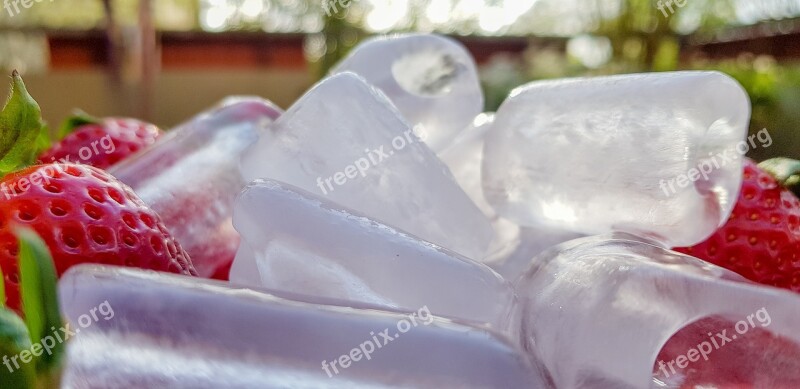 Ice Cubes Refreshment Strawberries Summer Food