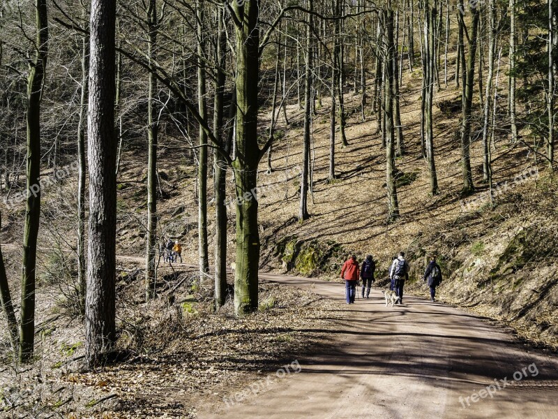 Hiking Family Group Forest Palatinate Forest